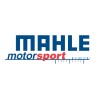 Mahle Motorsport